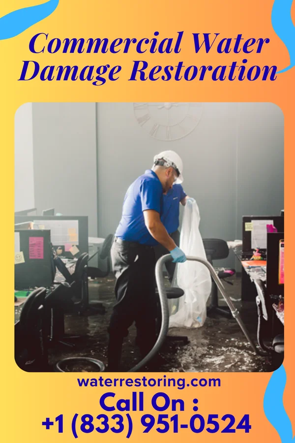 Commercial Water Damage Restoration in Parkwood, WA