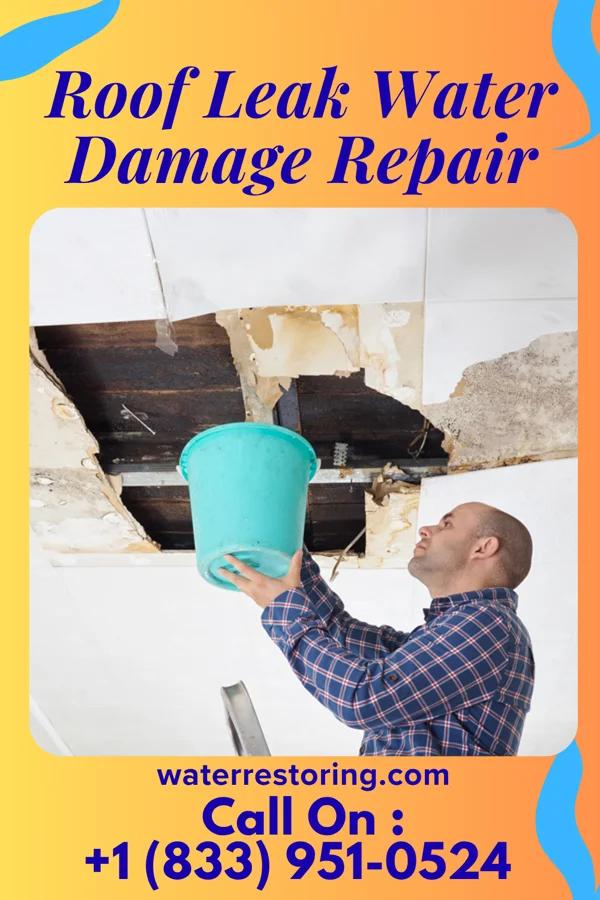 Roof Leak Water Damage Repair in Parkwood, WA